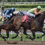derby bet types